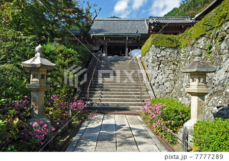 京都　善峯寺の秋 7777289