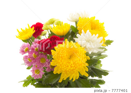仏花 仏花 7777401