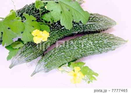 ニガウリ ニガウリ 7777465