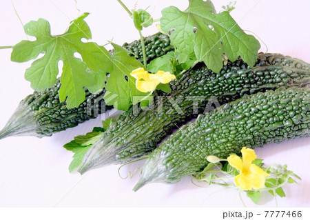 ニガウリ　 7777466