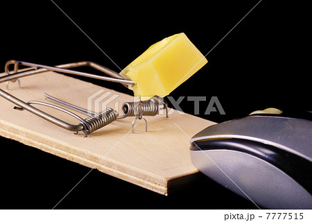 Computer mouse and mousetrap 7777515