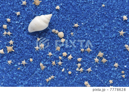 星の砂と白い貝殻 星の砂と白い貝殻 7778628