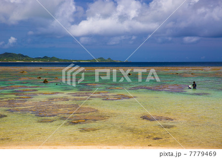 石垣島 7779469