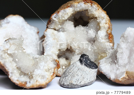 三葉虫の化石とジオード 7779489