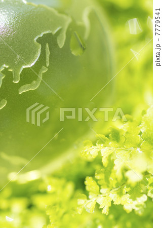 地球と緑 地球と緑 7779541