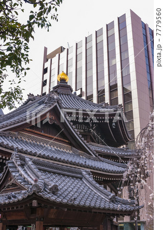 六角堂　本堂 7779560