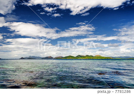 Tropical seashore 7781286