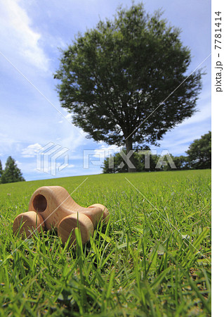 芝生とクルマの模型 芝生とクルマの模型 7781414