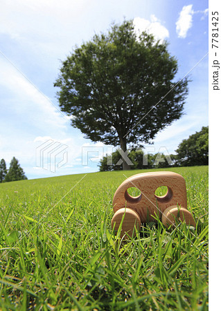 芝生とクルマの模型 7781425