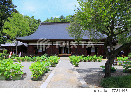 放光寺・本堂 7781443