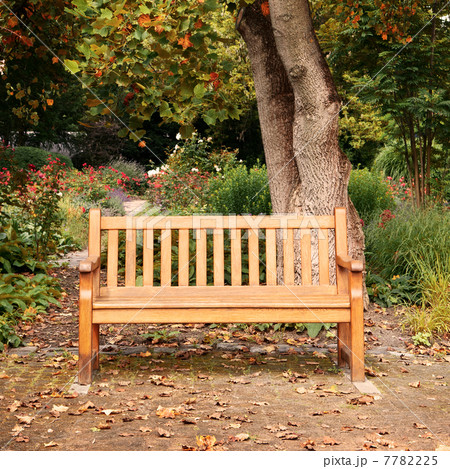 bench in autumn park 7782225