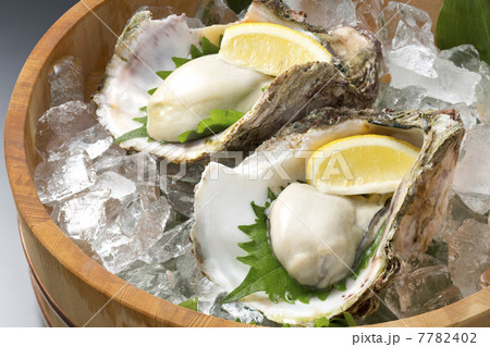 岩牡蠣 岩牡蠣 7782402