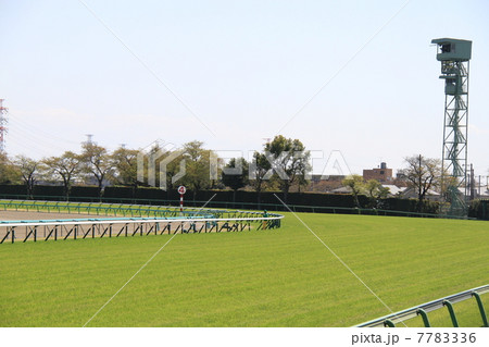中山競馬場 中山競馬場 7783336