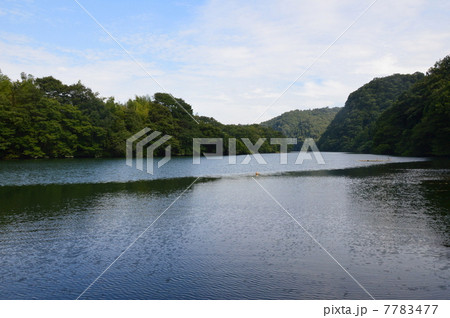真夏の「玉淀湖」(埼玉県大里郡寄居町) 真夏の「玉淀湖」(埼玉県大里郡寄居町) 7783477