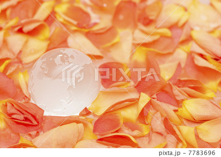 地球とバラの花びら 7783696