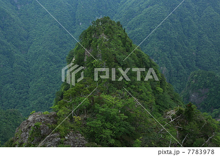 奈良　大台ヶ原　大蛇嵓 7783978