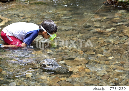 川遊び 川遊び 7784220