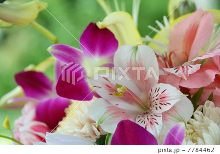蘭の花束 7784462