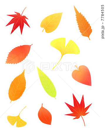 秋の葉っぱのイラスト素材