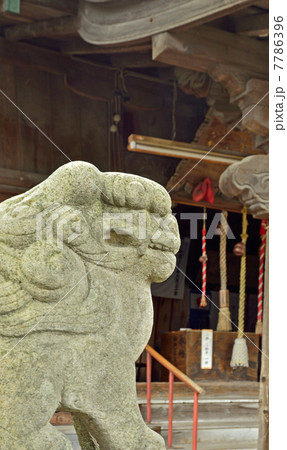 八戸散歩・神明宮の狛犬 八戸散歩・神明宮の狛犬 7786396