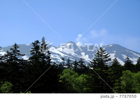 十勝岳 7787050