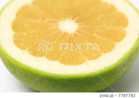 スウィーティー スウィーティー 7787782