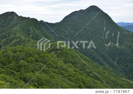 皇海山へ続く尾根 7787867