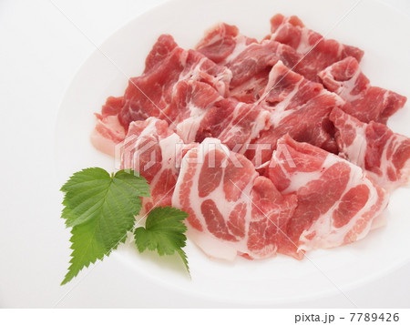 豚肩ロース肉 7789426