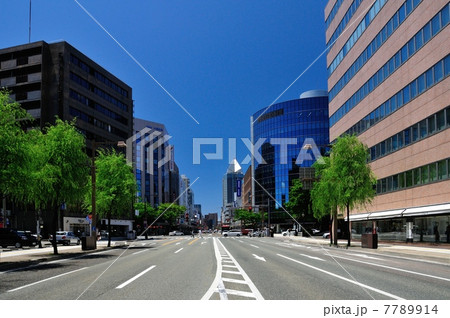 新潟市のメインストリート 7789914