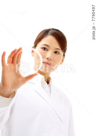 シャーレを見る研究員 7790497