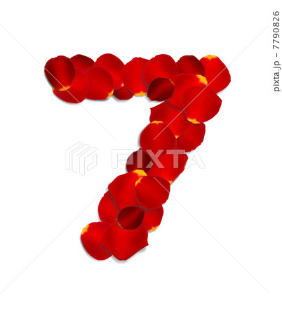 Number  7 7790826
