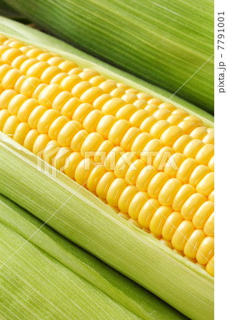 とうもろこし とうもろこし 7791001