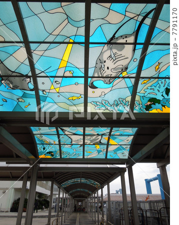 離島ターミナル 離島ターミナル 7791170