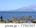 錦江湾から桜島を眺める少年 7792307