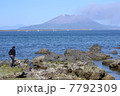 錦江湾から桜島を眺める少年 7792309