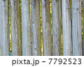 丸太の垣根 7792523