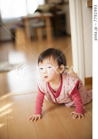 はいはい はいはい 7792993