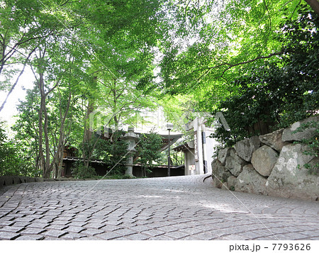 深大寺参道 7793626