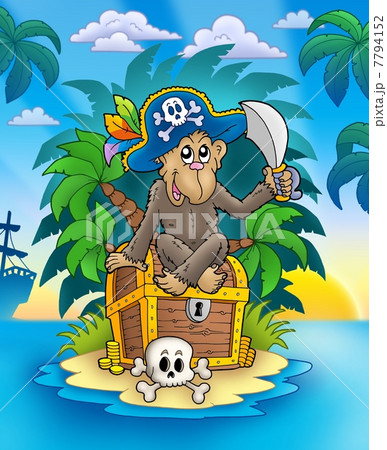 Pirate monkey on treasure island 7794152
