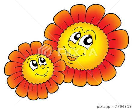 Pair of smilling red flowers Pair of smilling red flowers 7794318