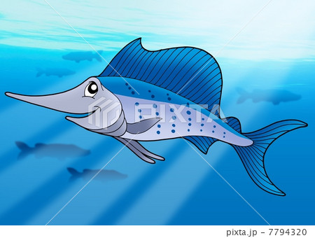 Sailfish in sea Sailfish in sea 7794320