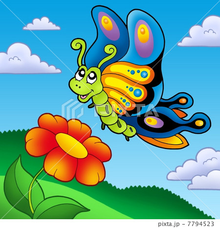 Cute butterfly with red flower Cute butterfly with red flower 7794523