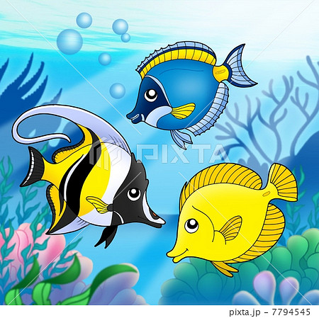 Coral fish collection in sea 7794545