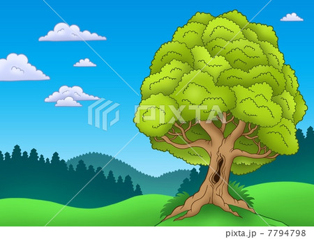 Big leafy tree in landscape Big leafy tree in landscape 7794798