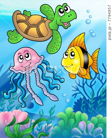 Various sea fishes and animals 7794957
