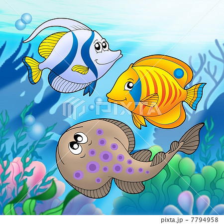Cute marine animals 2 Cute marine animals 2 7794958