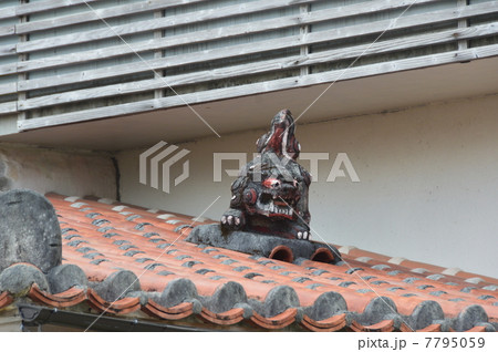屋根の上のシーサー（沖縄県那覇市） 7795059