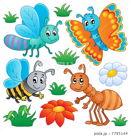 Cute bugs collection 2 Cute bugs collection 2 7795144