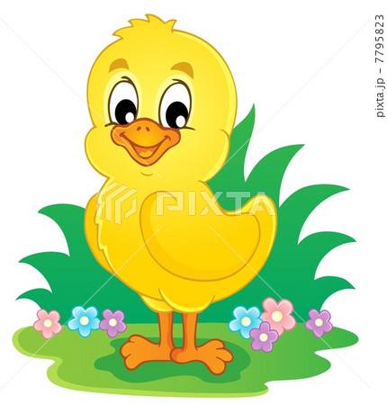 Chicken theme image 3 Chicken theme image 3 7795823
