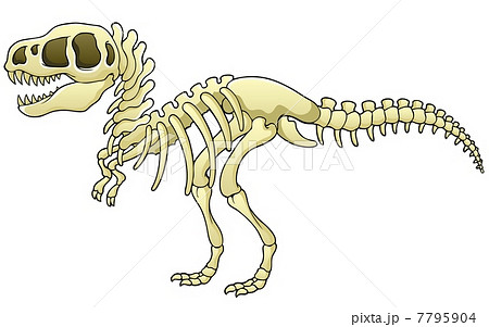 Tyrannosaurus Skeleton Imageのイラスト素材
